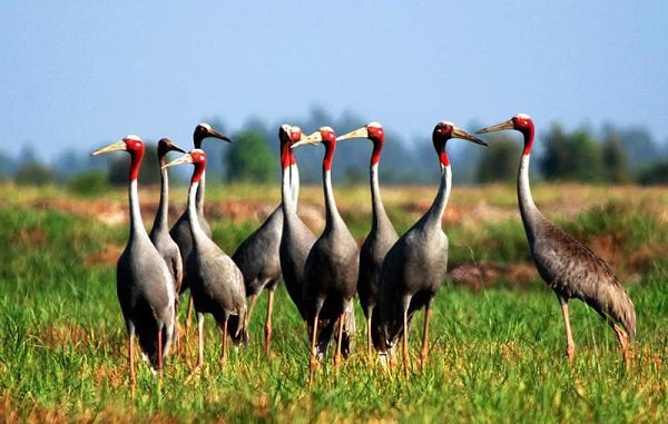 Du lịch ở đâu miền Tây mùa nước nổi?